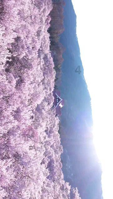逃离空的老房子